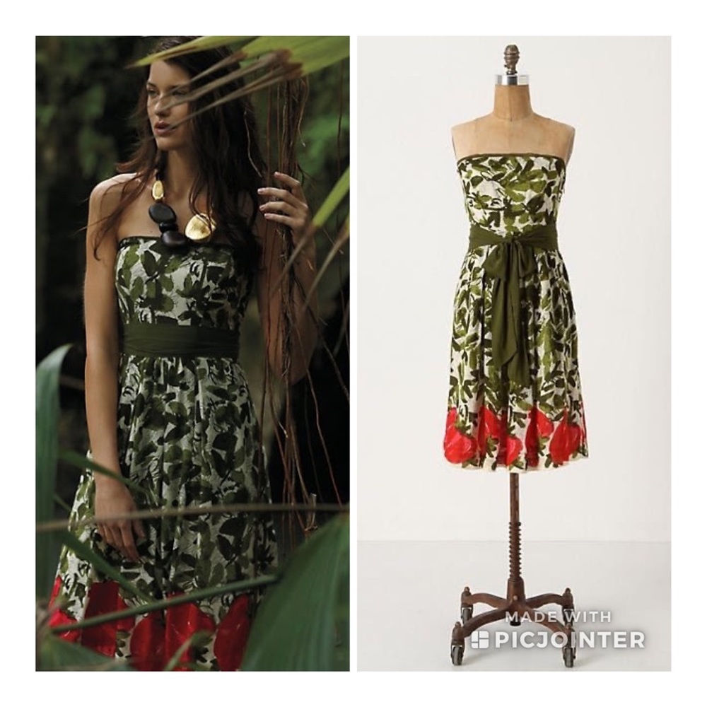 Anthro Berry Months Dress